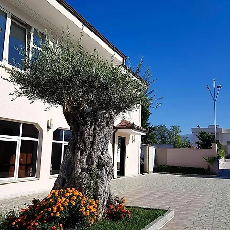Erandi Rinas